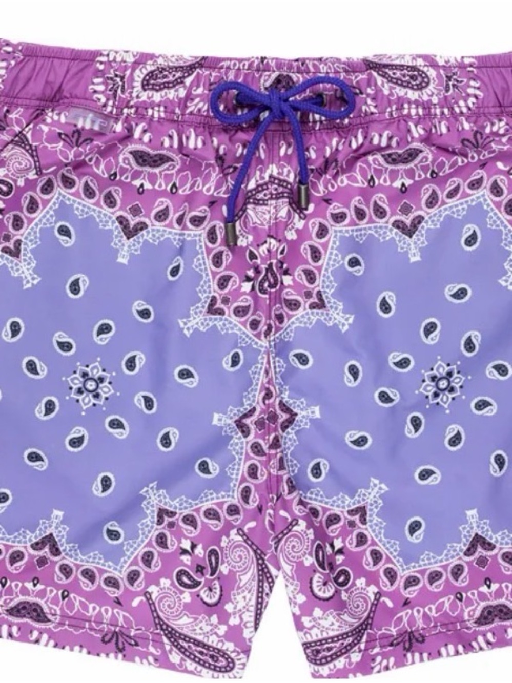 Purple Bandana-Print Mens Swim Trunks